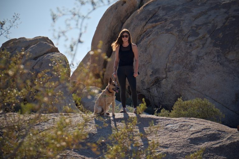 Hiking With Dogs: Tips For Keeping Your Furry Friend Safe And Happy On The Trails