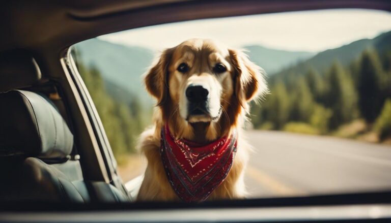 Road Trip Safely With Your Furry Companion